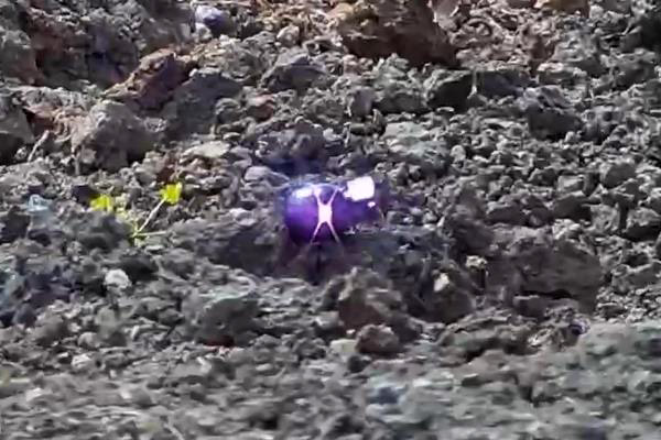 山東濟(jì)南某地手雷激光銷(xiāo)毀